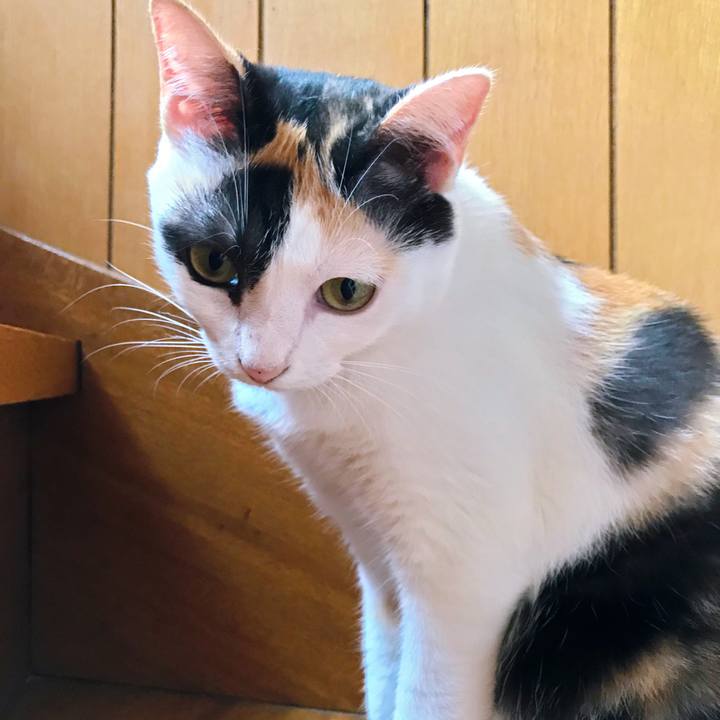 E13b5dbe ffb1 40fd b626 cfedb20eb2e1