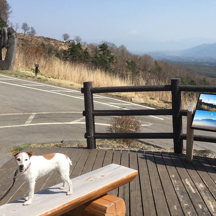 E13b67c2 d434 4fb1 9f29 630ab42e370a