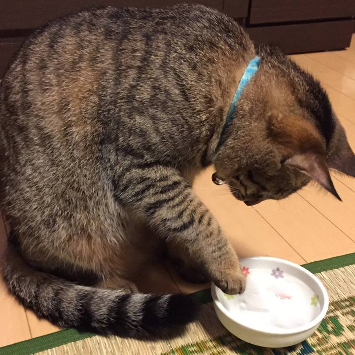 E13b91d9 32ca 4aec ab89 51bde8a33f0b