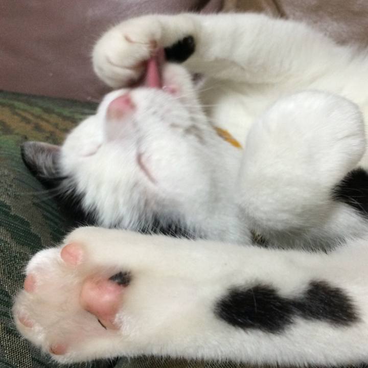 E13c15a5 5aa4 4276 8fc1 d557cc91a7ce