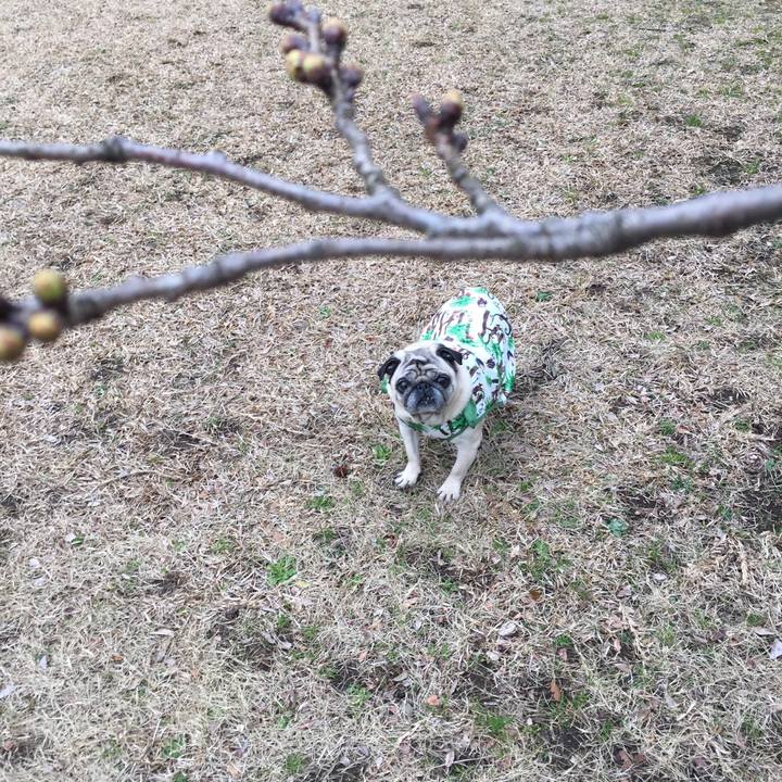 E13c299a 54f9 4ebc a6a8 a4270edda0cc