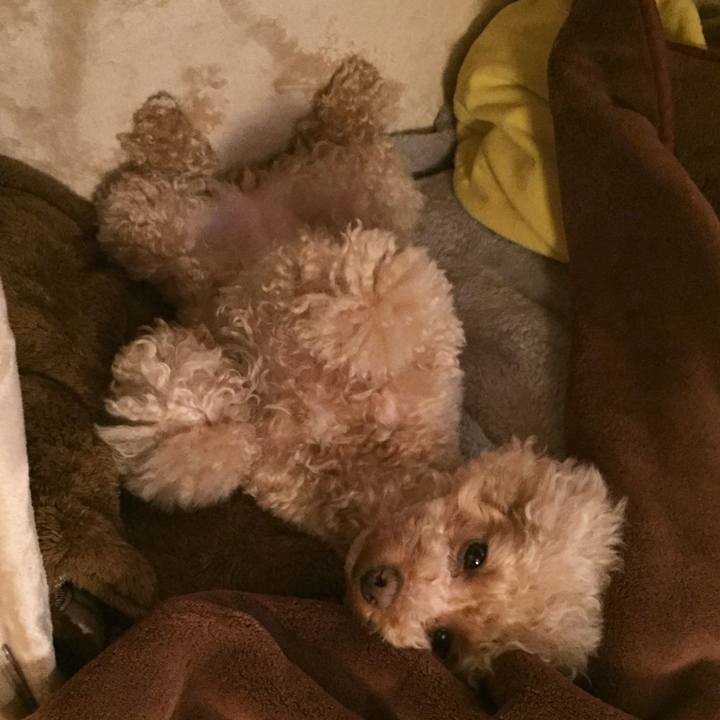 E13c9a4e cdf4 45a3 bc68 21a90da436ac