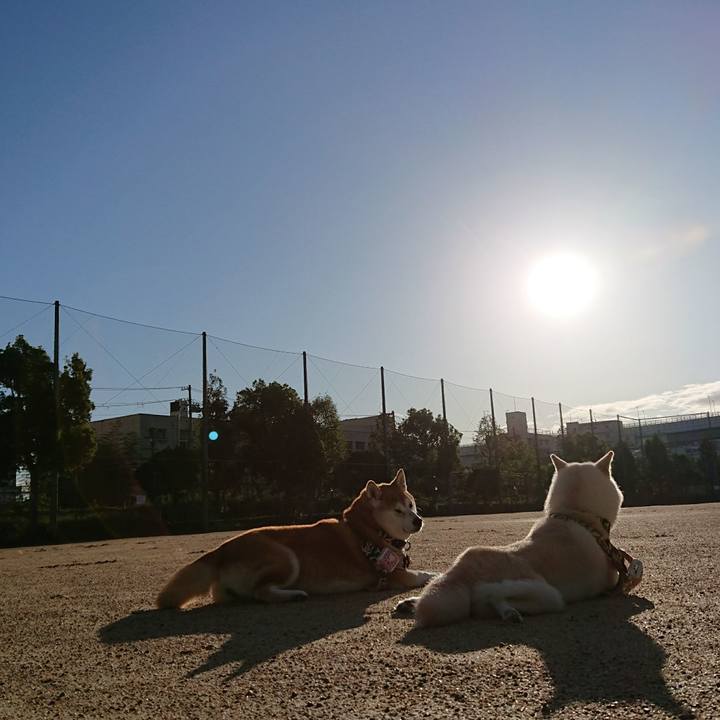 E13cc9e1 1555 466a b94f 13e27c401cc6