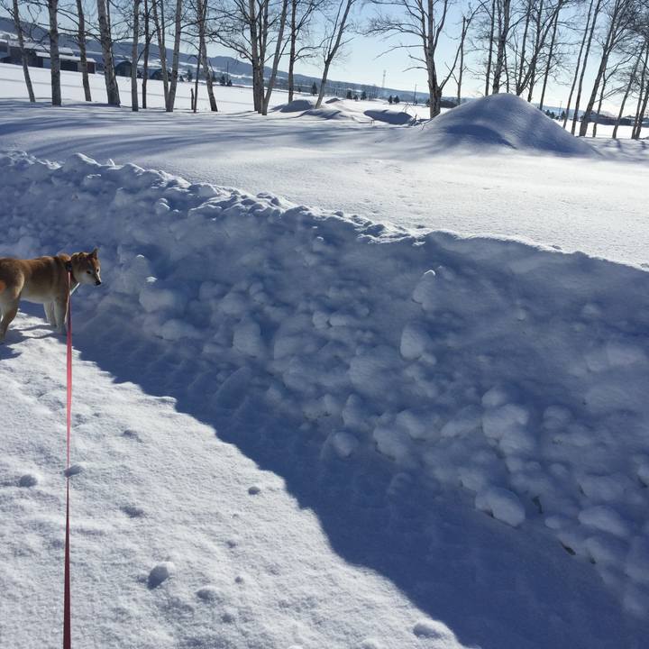 E13ced59 b022 48ed bca5 5631506c4b55