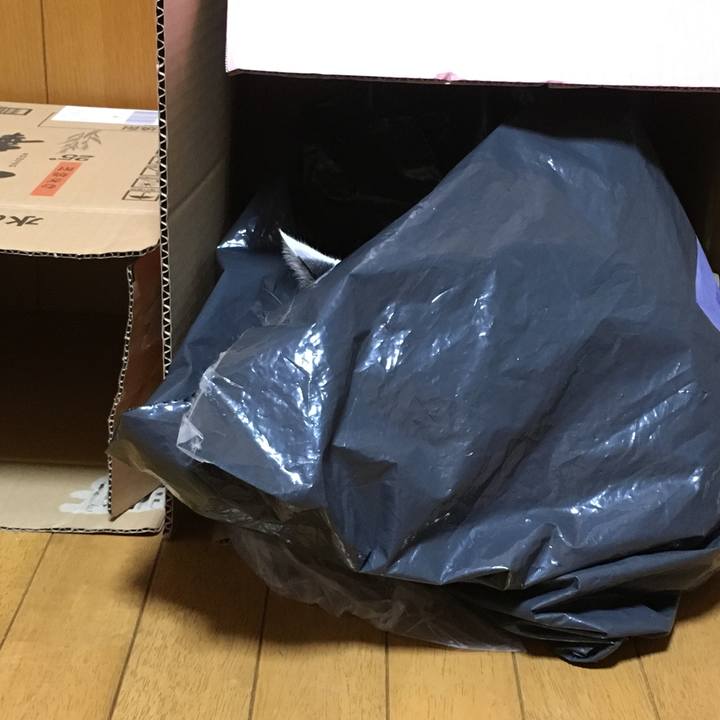 E13d29b9 e5b8 4538 b870 ca58afb611b4