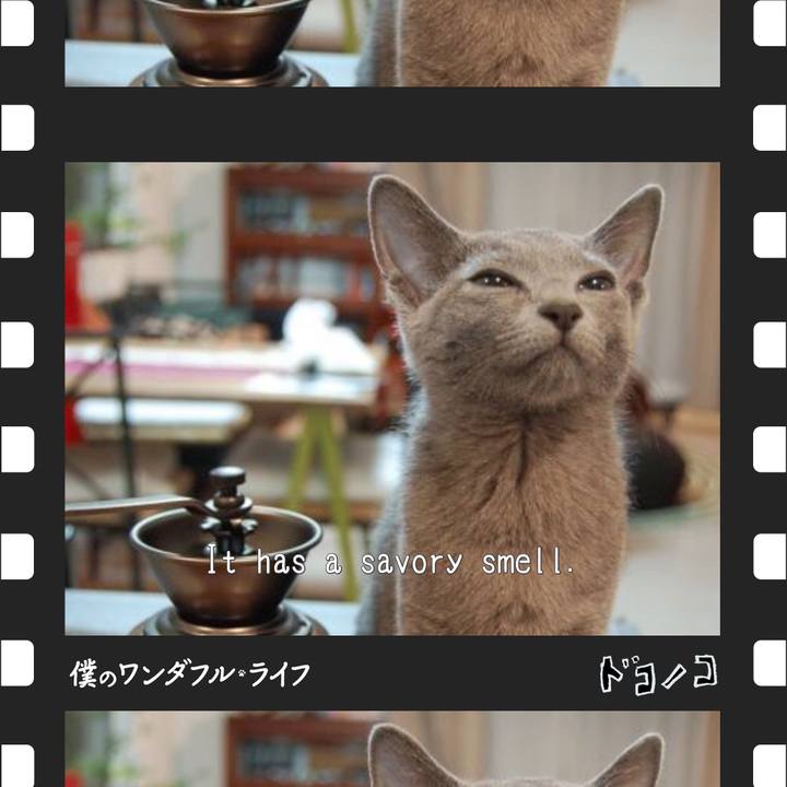 E13d334f 846a 434d 8b8f 6ce5c69f7739