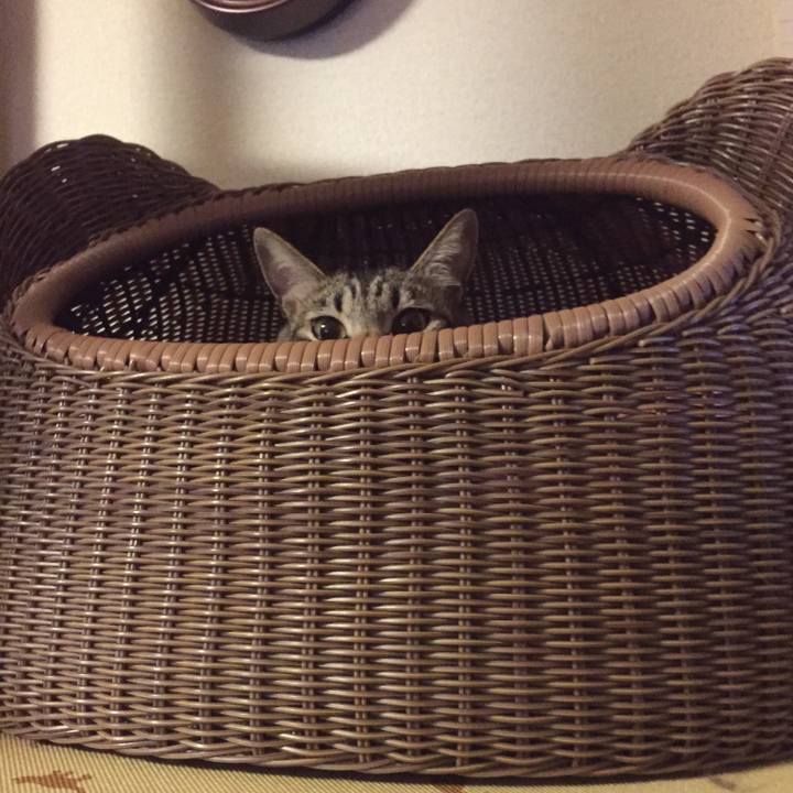 E13d43d3 22d8 4f2b a791 3afd441cc32a