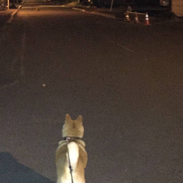 E13d8bfc bf5d 4eb5 9767 1d8003084b17