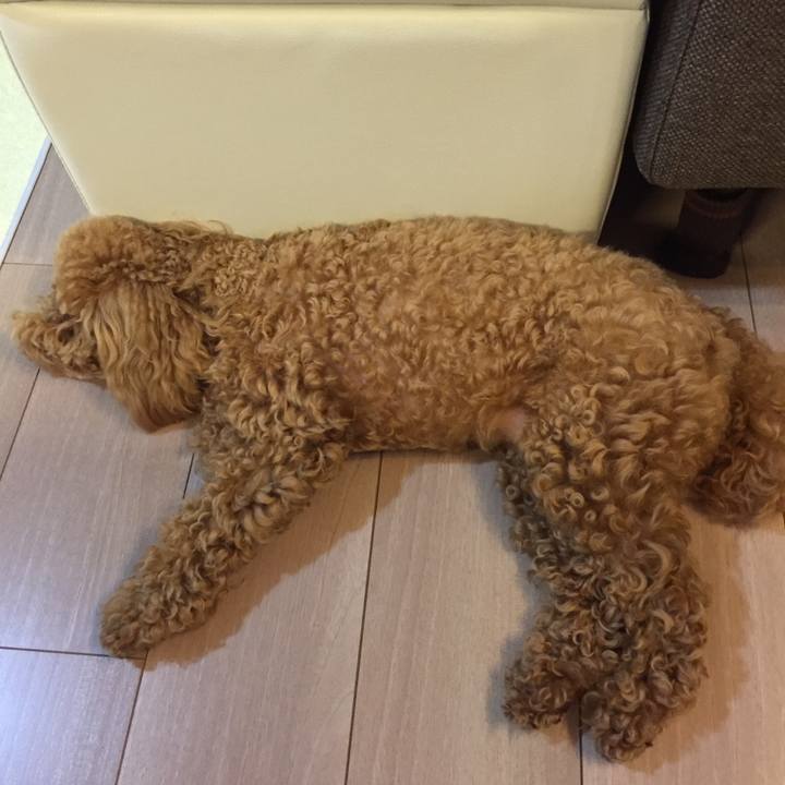 E13dfdc2 4dc6 42ff bbbe e32b68573a79