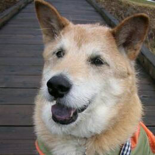 E13e48b8 36ca 431c 932b 8c8c0950c161