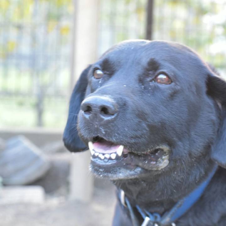 E13e8ca4 f202 4ba1 b008 9425265bed0d