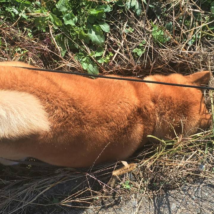 E13ea913 fc37 4b08 be76 581717ce46ae