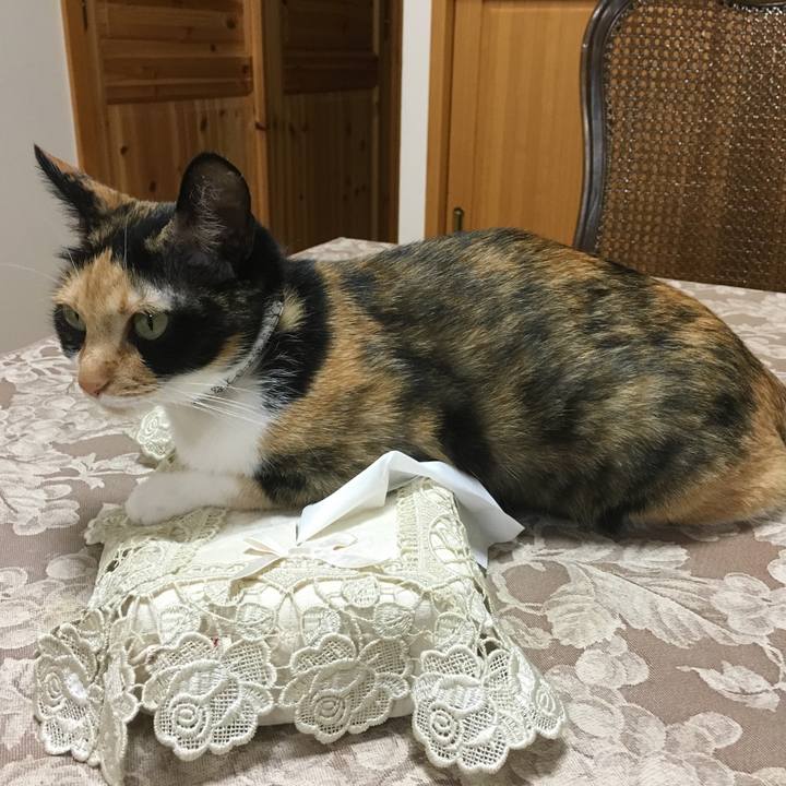 E13ec46e 3151 42de 8983 3bc05501b629