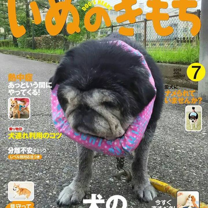 E13f045a 82c5 4db4 b741 1278f7136e62