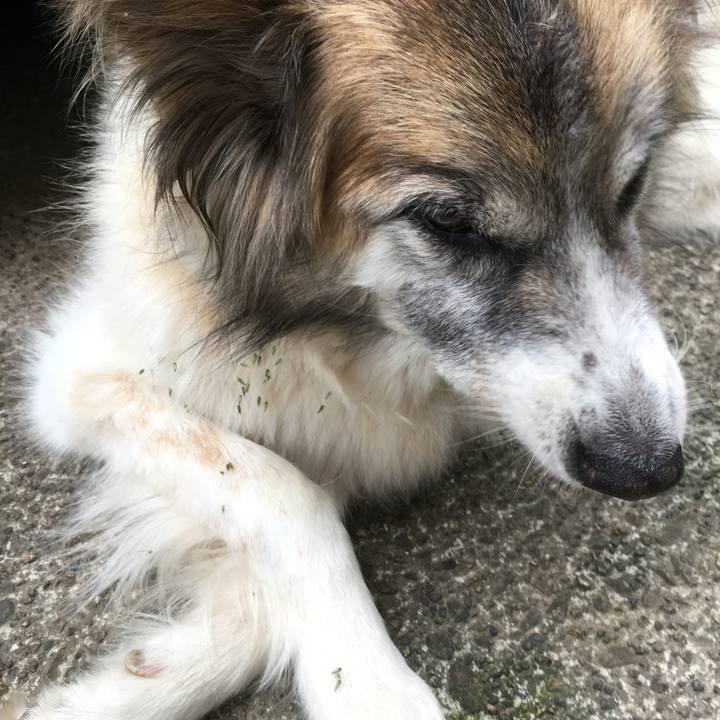 E13f2395 5c51 4d0d 9aec efe2d1ff6740