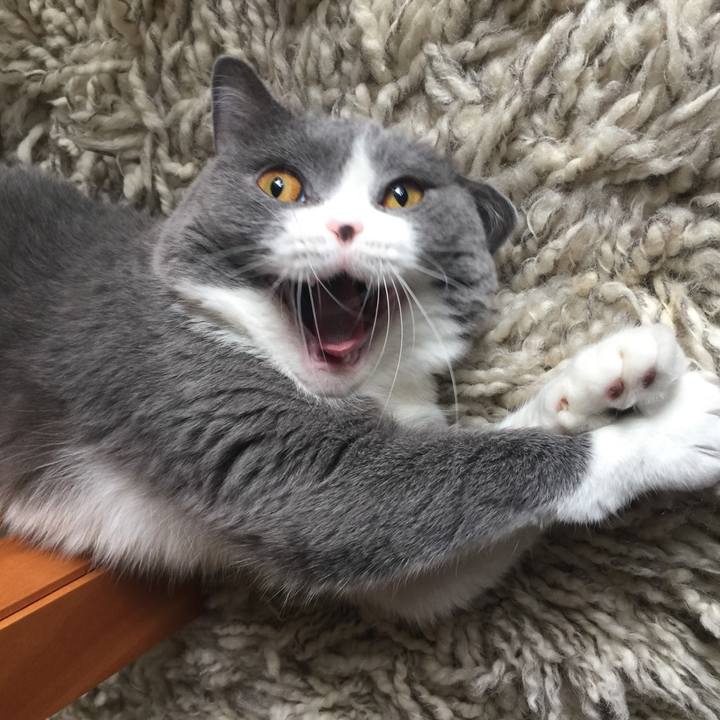 E13f2679 76c1 4afc acde d698156115e6