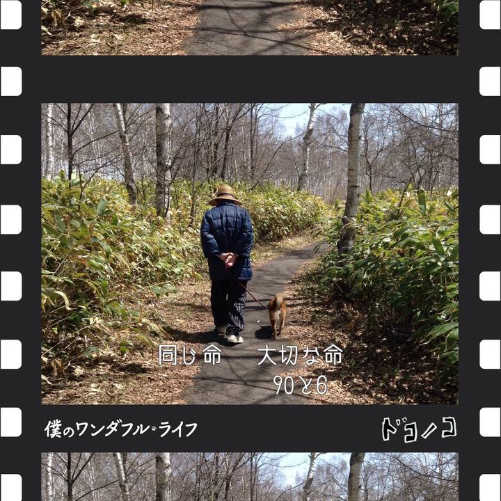 E13fb8eb 26d4 447a 8ee3 58bd1950590d