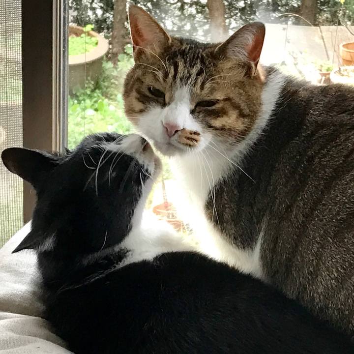 E13fcd6b 7182 4470 99e6 8042d55e95f7