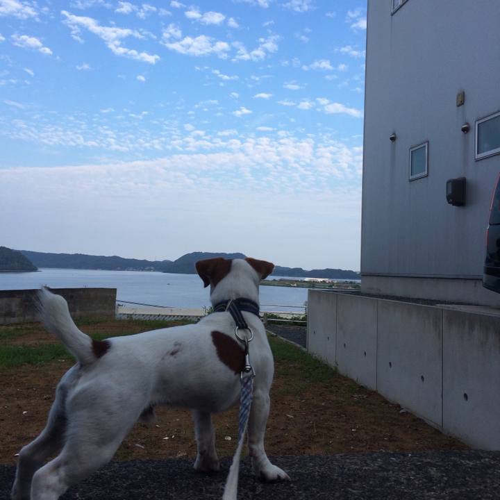 E14117f9 cf0c 4c7f 821b 50a51703172d