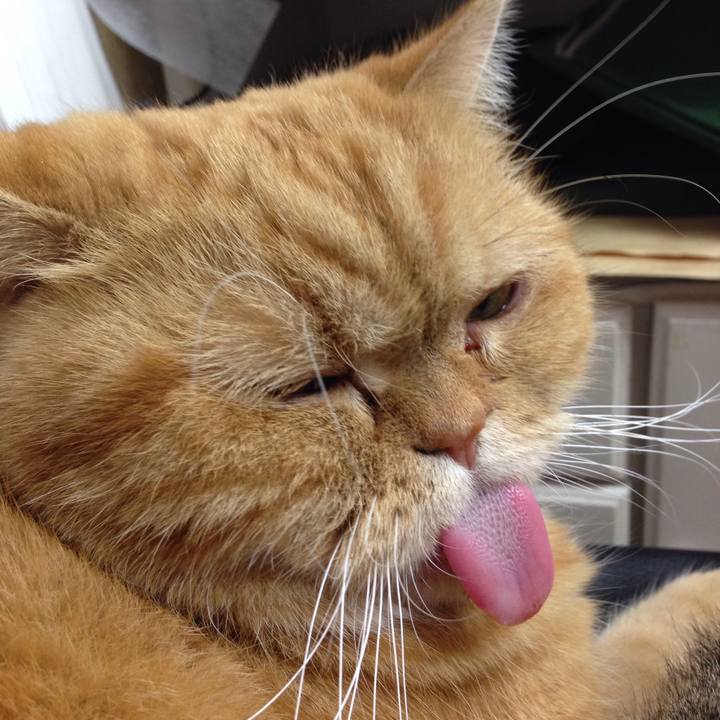 E1414d2f 13d9 4821 a006 1373909a298f