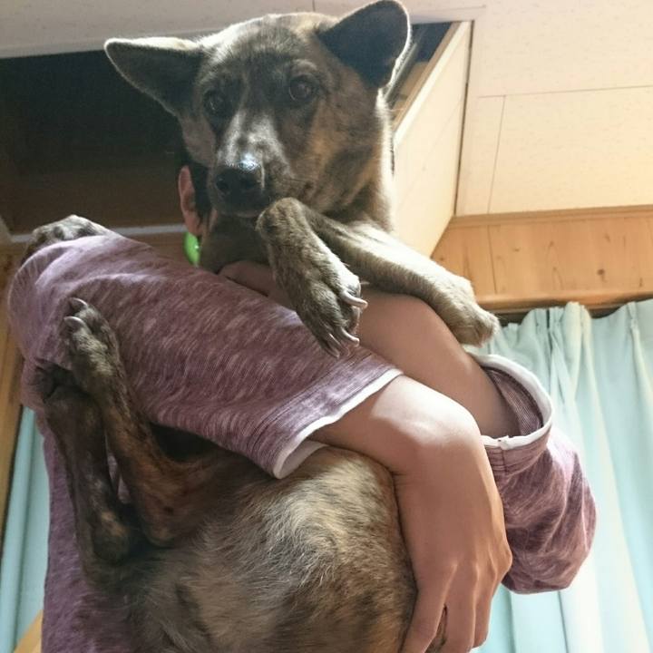 E1418589 ff2b 4d94 b85b 8dfa1e3a08e3