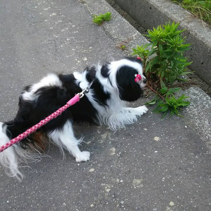 E141be45 740f 48f8 a58f aa468aaaa086