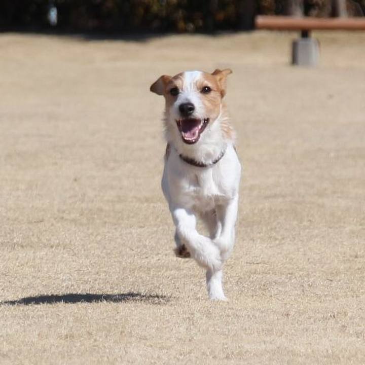 E1423bfc c4d0 418b 8e0f 186de96babac