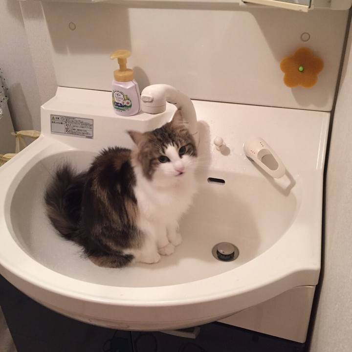 E142b861 ad71 49c3 9cd2 724f4dd02eeb