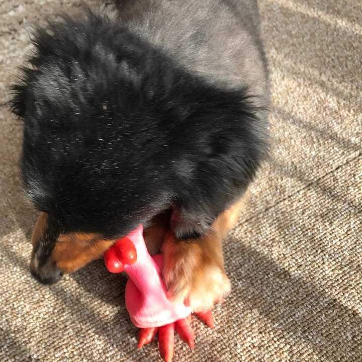 E1436e1d 5d5e 4916 bdf3 00bdab1d412f