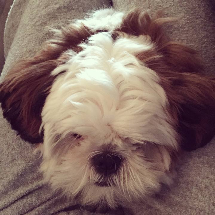 E1443039 0998 4952 b99b f18adcf7d590