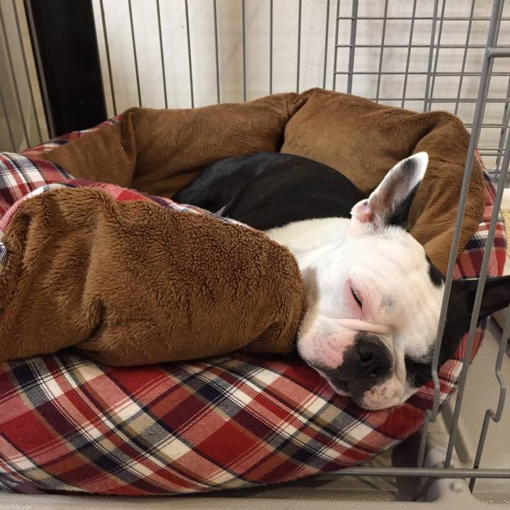 E144c8ef d6c0 4ec6 a8cc 972170805d6c