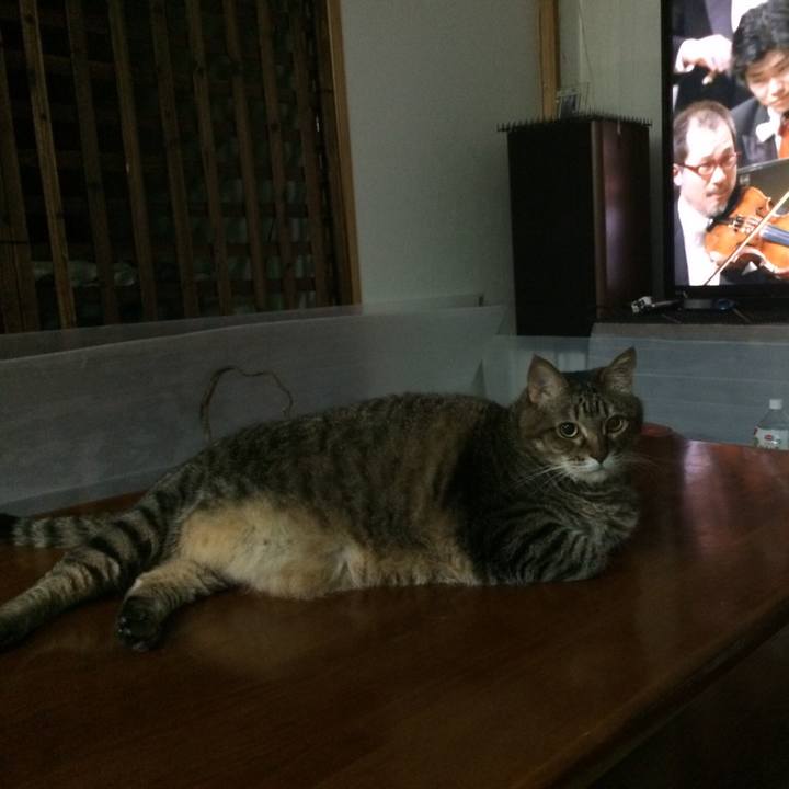 E144f134 bc33 4d48 ab14 fec3ab3081e4