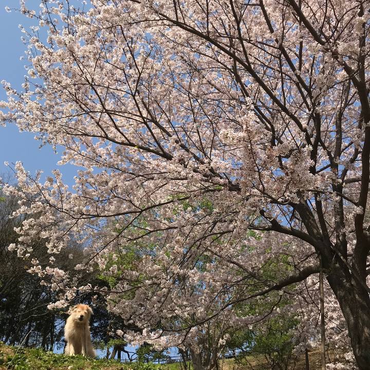 E145190d 1754 48f7 bfab 87fc8c382784