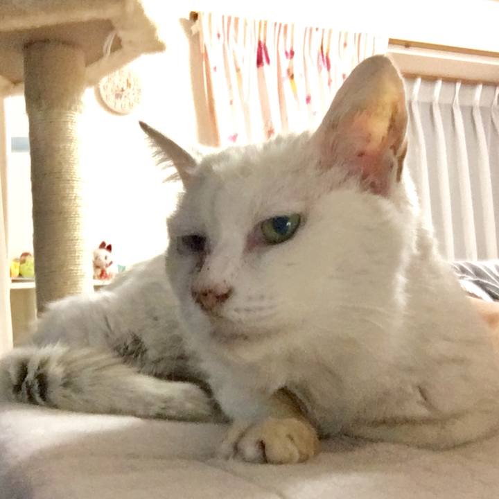 E1465847 3a6b 428c 8182 181027fd973a