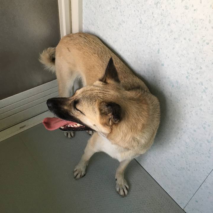 E146b046 2b16 4a39 ac15 5aa1dbae062e