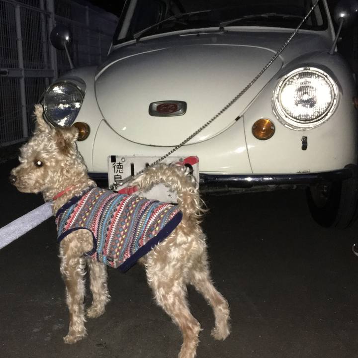 E146df1e 3e79 4082 bda7 96e69cb1060a