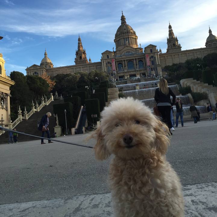 E14726c4 c02e 459f b882 8e5fe2c5d22d