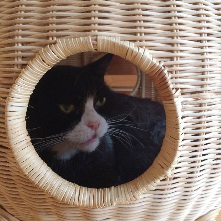 E147b3c4 8f44 4374 a596 b2a0a93e21e5