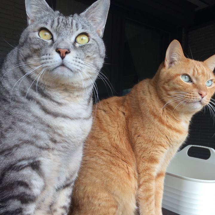 E1488174 50d3 4cee 9279 06c527781435