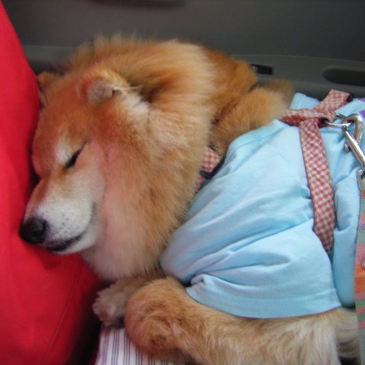 E148bd0e 01ff 41e0 a311 23a8817d782e