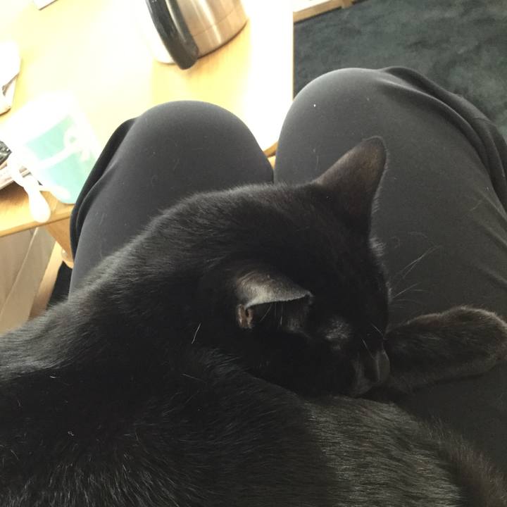 E148f85b 495a 4f27 9407 83a32fc2b3f6