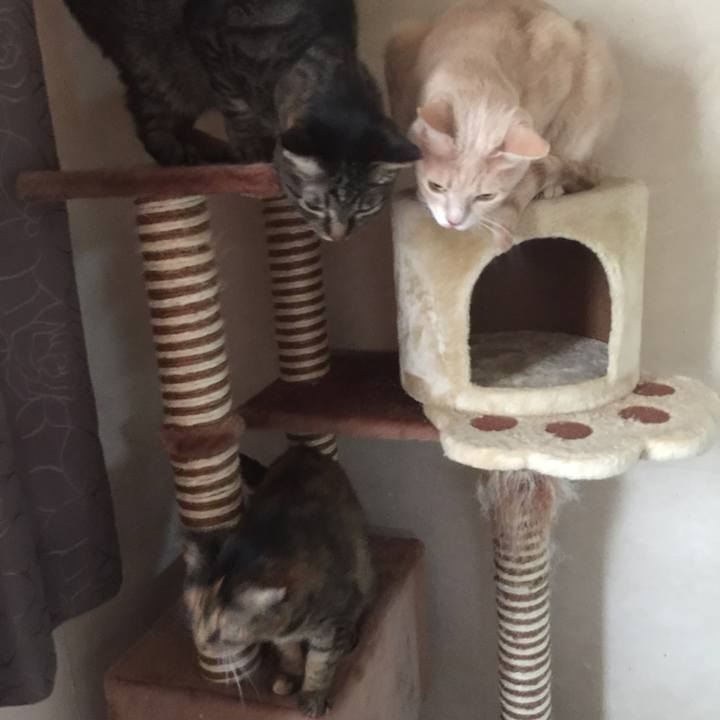 E1490143 db3a 49fe a6db 6b3effa9a505