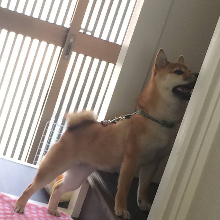 E1490410 1e30 4b65 a5d9 20b29c92b298