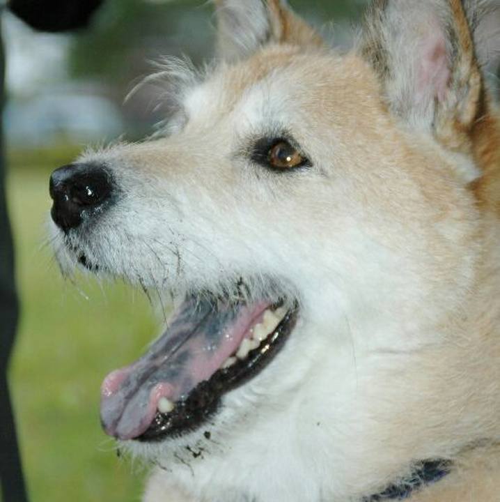 E149e310 f3a6 4c3d 9565 7cb9397ff3f9