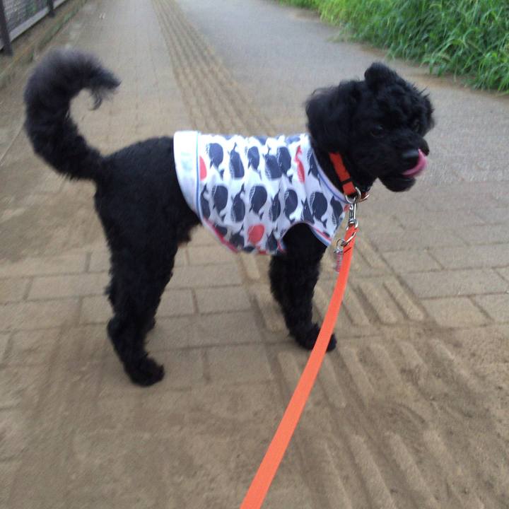 E149faf3 8ef5 4d8f 8ee0 757299d0b28f