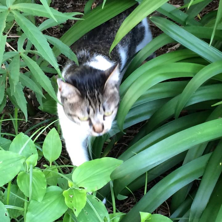 E14a35eb 1ac8 4313 b73a e2937bab55e0