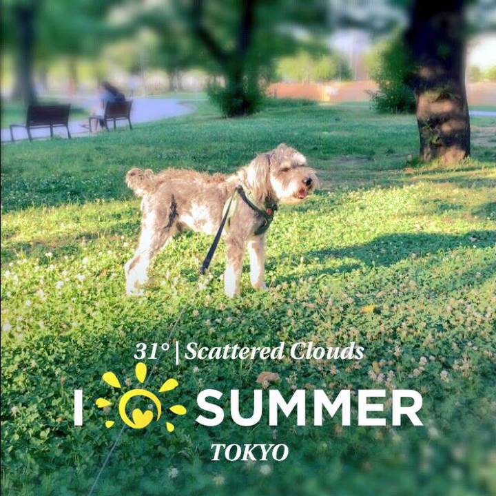 E14b4f7f 3389 4a9e b40e 80eed1676345