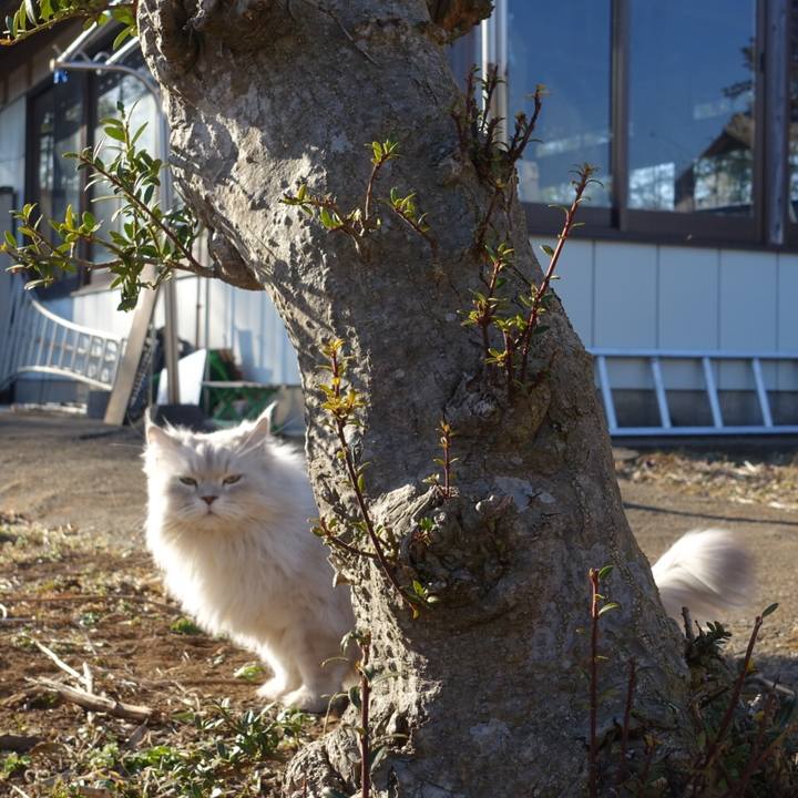 E14b5497 2d70 41e8 835d ee1b7ec39968