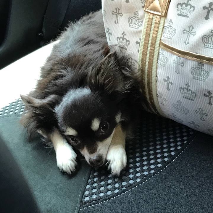 E14b5a9e a42b 4c0a abbf b27ecec192f8