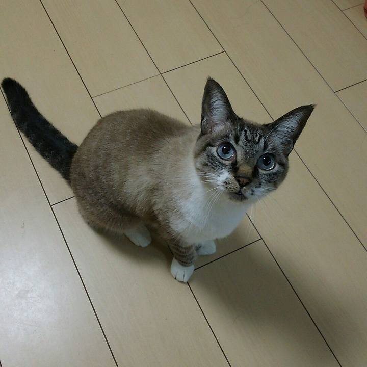 E14ba945 c98f 424c b6b5 e0e9b655a102